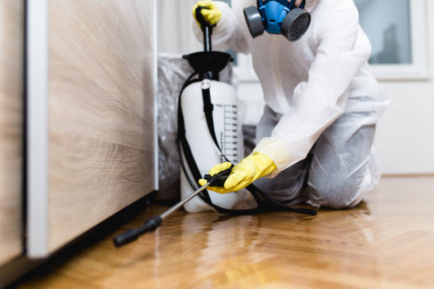 Best Mosquito Control Services  in Santa Nella, CA