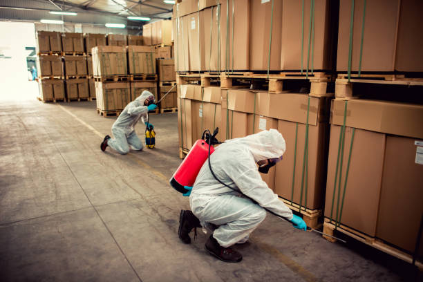 Best Rat Extermination Near Me  in Santa Nella, CA