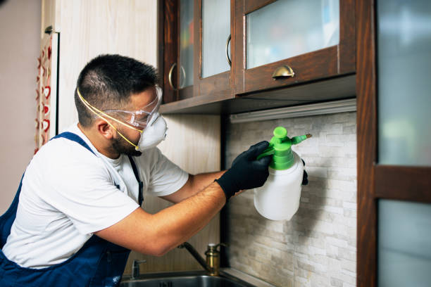 Best Pest Removal Services  in Santa Nella, CA