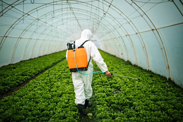 Best Best Pest Control Companies  in Santa Nella, CA