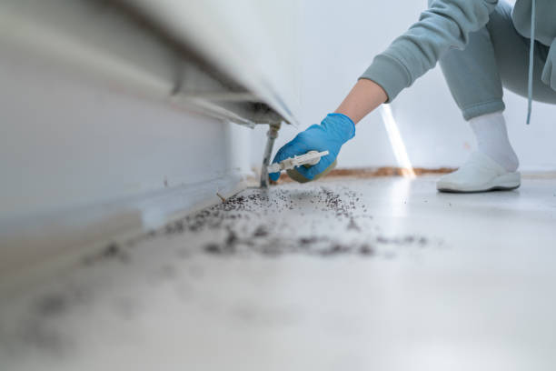 Best Commercial Pest Control Services  in Santa Nella, CA